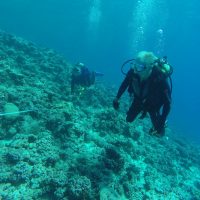 Ray & Marta at Vava'u Tonga in 2017