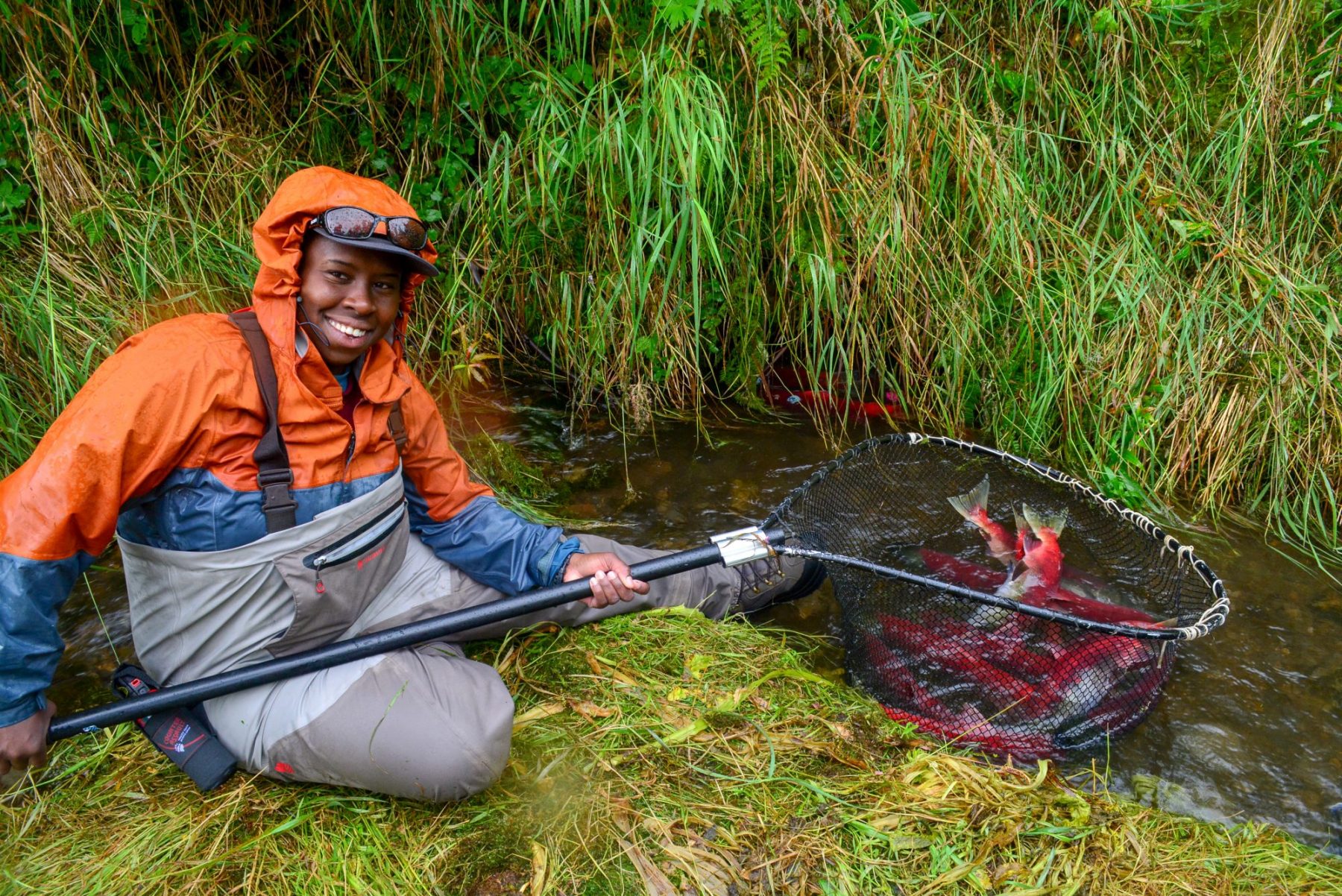 Mosaic The Salmon Wilderness of Bristol Bay, Alaska