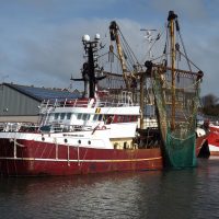 A vessel known as a beam trawler sits at the dock in Milford Haven, Wales, United Kingdom.Jan Hiddink/Bangor University