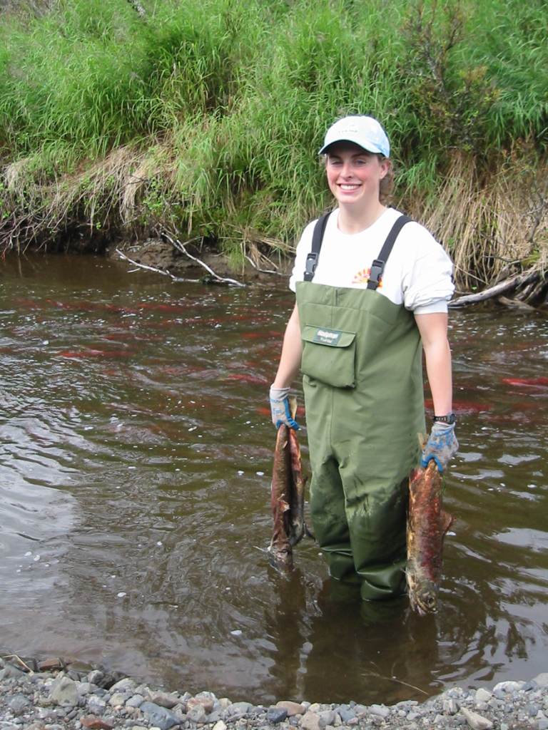 Neala Kendall conducting collecting sockeye salmon carcasses to extract otoliths on Happy Creek, Lake Aleknagik, Alaska