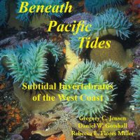 Beneath Pacific Tides: Subtidal Invertebrates of the West Coast cover