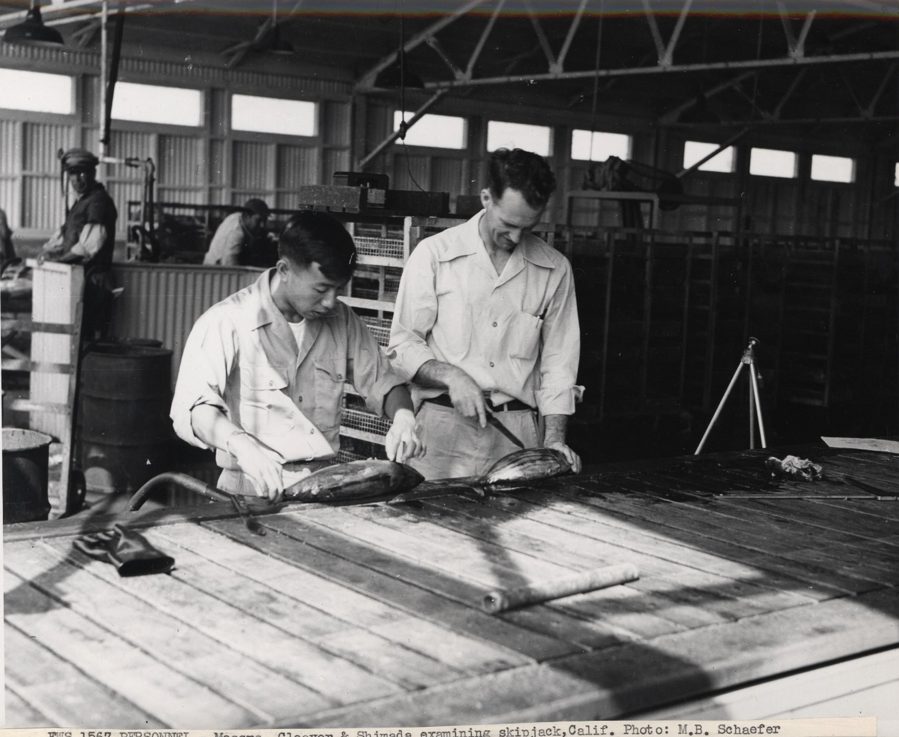 Bell Shimada and Fred Cleaver, circa 1951. Photo by Milner “Benny” Schaefer.