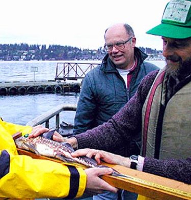 Measuring ratfish with Bruce Miller following a trawl aboard the R/V Nugget