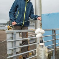 Jessica deploying a light trap at the Oregon State University dock at the Hatfield Marine Science Center in Newport, Oregon. Light traps are one method of collecting animals attracted to light (positively phototactic larval fish and invertebrates).