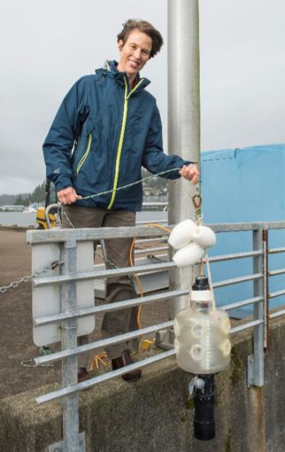 Jessica deploying a light trap at the Oregon State University dock at the Hatfield Marine Science Center in Newport, Oregon. Light traps are one method of collecting animals attracted to light (positively phototactic larval fish and invertebrates).