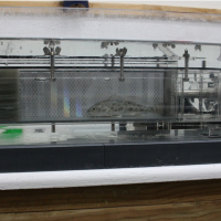 A juvenile red drum swimming against a current in a swim tunnel respirometer