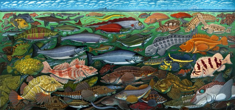 A colorful mural of different fishes under the sea. This mural hangs in the lobby of SAFS.