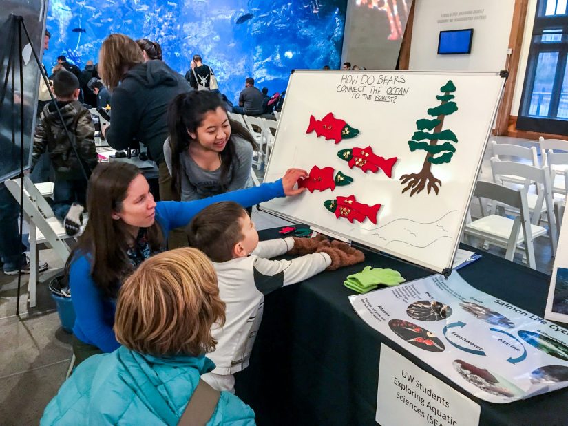 A SEAS volunteer using a model to explain the salmon life cycle to young children.