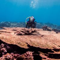 Danielle Claar scuba diving in Kiritimati