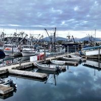 Fishing boats in a harbor in Kodiak, Alaska.