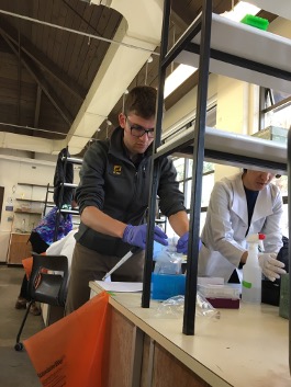 John working in the lab at Friday Harbor Labs