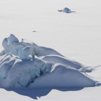 A polar bear is perched on a thick chunk of sea ice north of Greenland in March 2016.