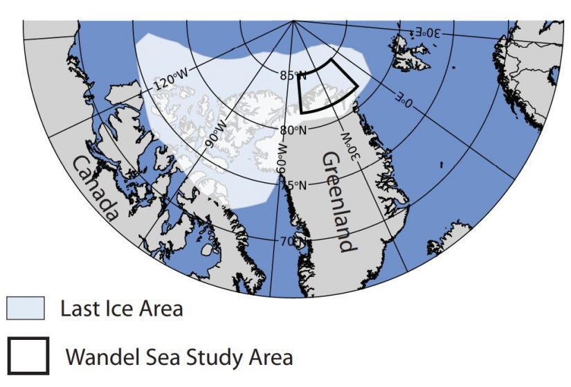 Map of the area of the “Last Ice Area” of the Arctic Ocean.
