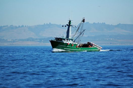 Fishing boat using a purse seine for sardines or anchovies in Moss Landing, California. iStock