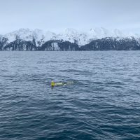 Glider on the surface of the water with snow capped mountains in the background