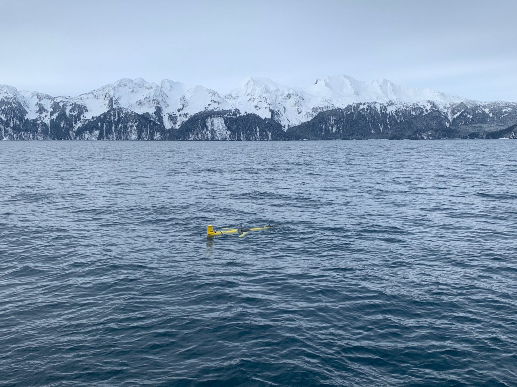 Glider on the surface of the water with snow capped mountains in the background