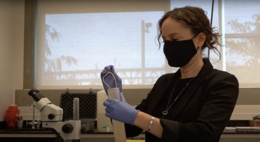 Chelsea Wood removing a worm from a test tube with tweezers