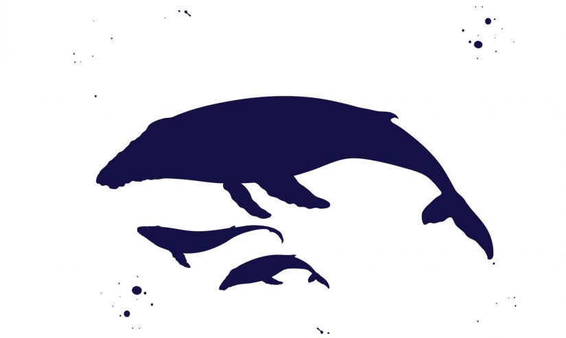 A graphic of three whales.
