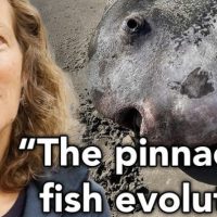 Katherine Maslenikov pictured with a sunfish on a beach landscape, with the words "The pinnacle of fish evolution"