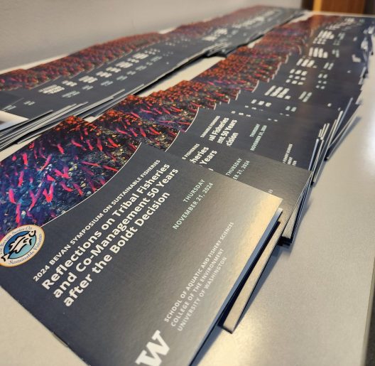 Brochures lined up on a table