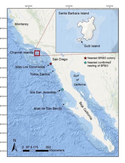 A map with scale, showing the southern coast of California, stretching down to Baja California, with markings for the sites of birds.