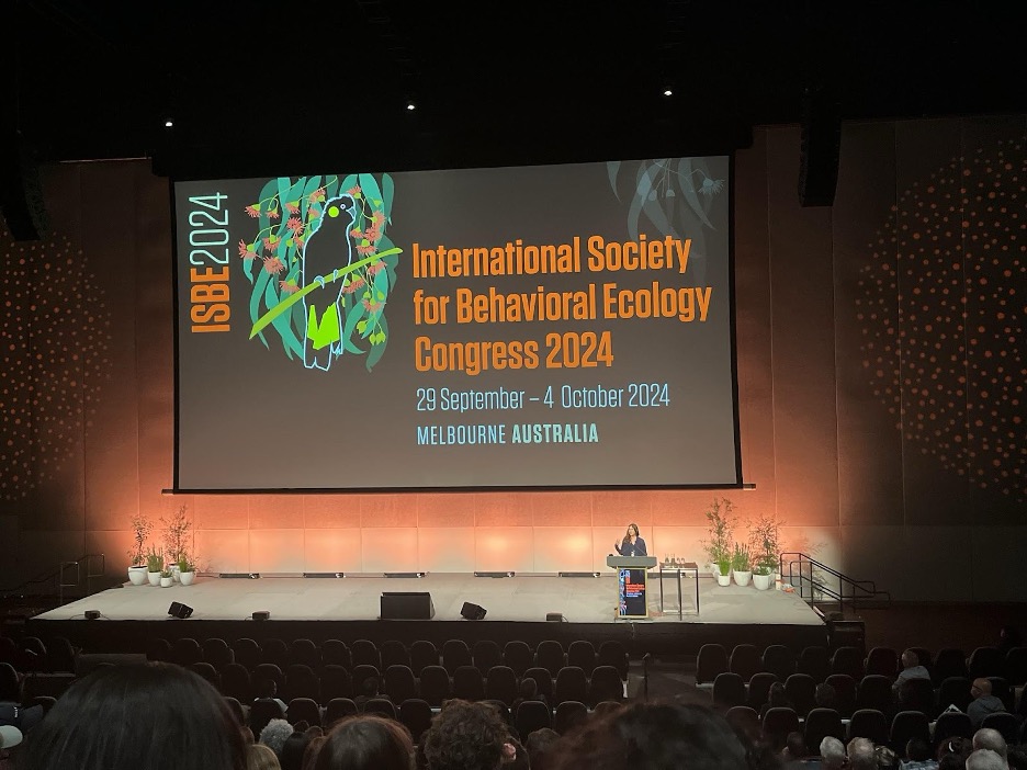 A large screen behind a stage during a presentation at a conference event.