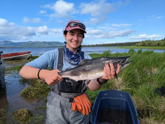 A person is pictured on the grassy bank of a lake, smiling and holding a fish, grey and white in color. She wears a pink baseball cap with black sunglasses on top, with a blue tshirt and blue neck banana, grey waders with orange gloves tucked into the belt. In the background, a small red boat is tied up on the left of the photo, with blue skies and spare white clouds.
