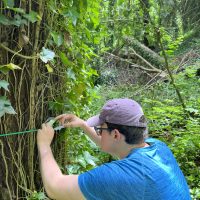 Stevan attaches an audio recording device to a tree with a green string. The background shows dense forest.