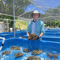 Callum over a large blue tub which holds water and a number of corals. He is holding a coral in both of his hands while smiling into the camera. Other blue tubs can be seen behind him.