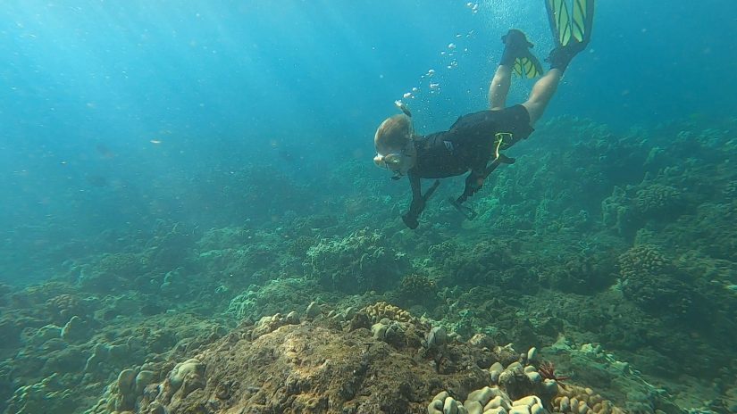 A person is pictured diving underwater to view a coral reef, wearing a snorkeling mask.