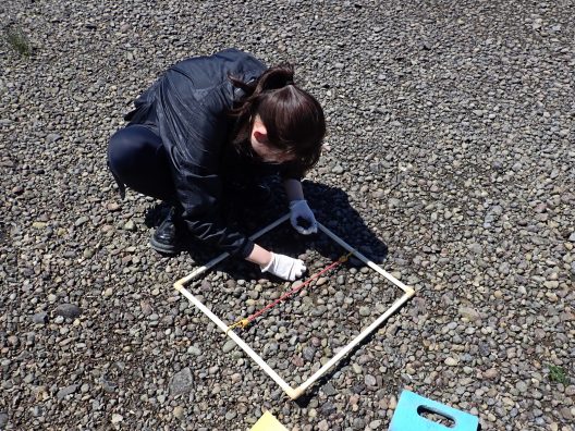 A person bends down on a pebbly beach with a white square outline.