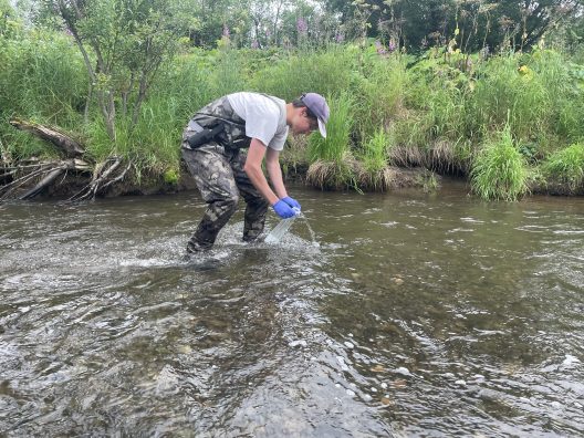Ryan crouches down in a river collecting eDNA.
