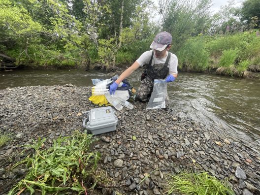 Ryan kneels on the bank of a river, with eDNA collection equipment.
