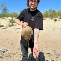 Henry Berg stands on a beach holding up a horseshoe crab that matches his arm tattoo.