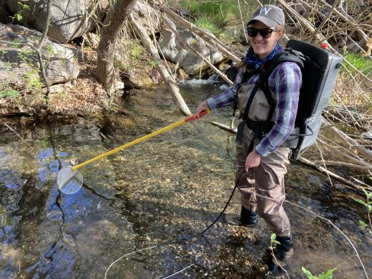 Jess Diallo stands in a stream with an electrofishing machine