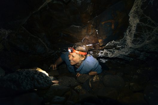 Amelia DuVall in the night with a headlamp on, searching for bird nests.