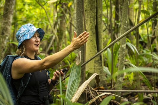 Amelia DuVall in a dense jungly forest.