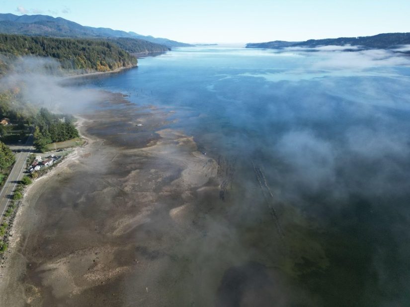 Aerial view of Hood Canal and an oyster farm.