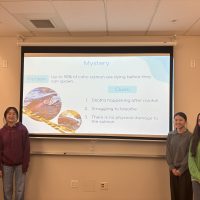 Four students (three high school and one graduate) stand in front of a presentation screen.
