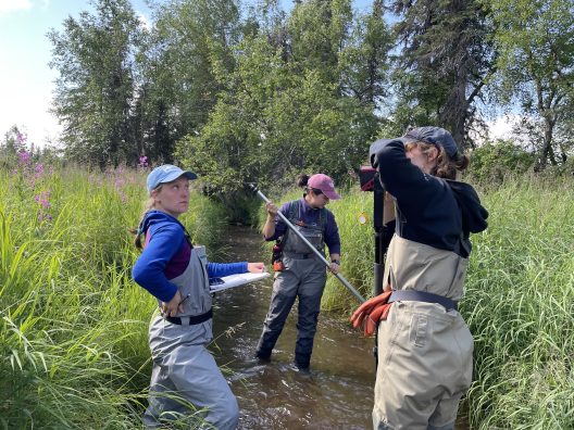 A group of students standing in a stream in Alaska.