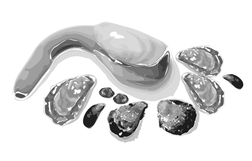 An illustration of different shellfish, including oysters and a geoduck clam.