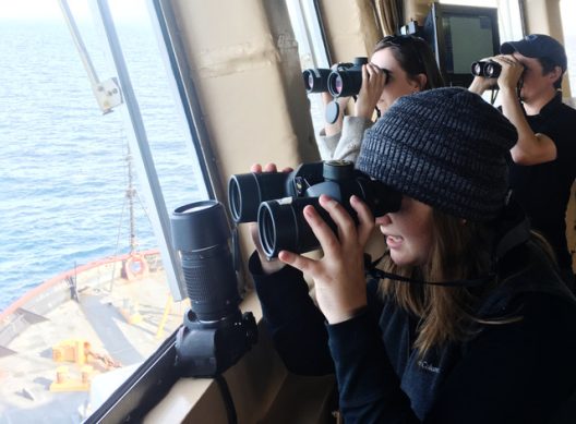 Jenny Stern and others use binoculars to look out the window of a boat.