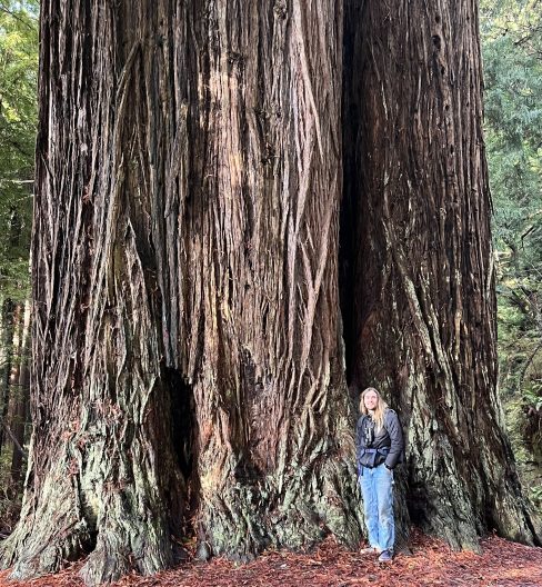 Jacob Stickler stands next to a very large tree
