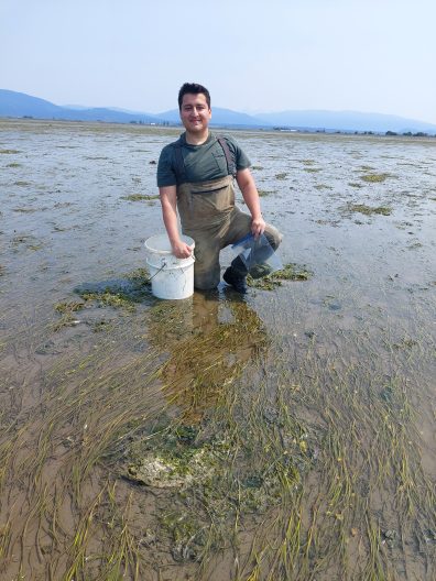 Bryan Briones Ortiz kneels in a watery eelgrass meadow, with a white bucket.