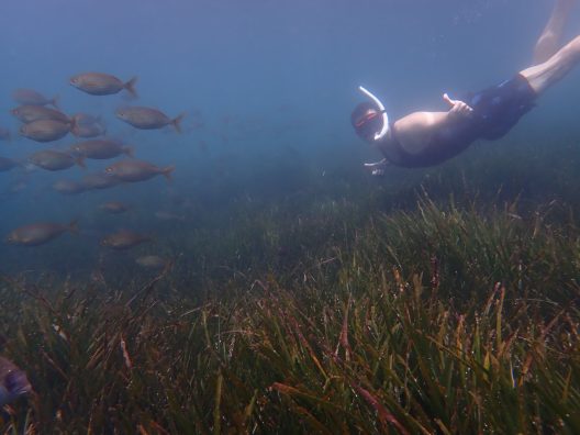Bryan Briones Ortiz snorkels underwater
