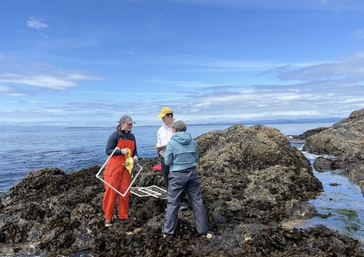 A group of students on a rocky part of the beach.