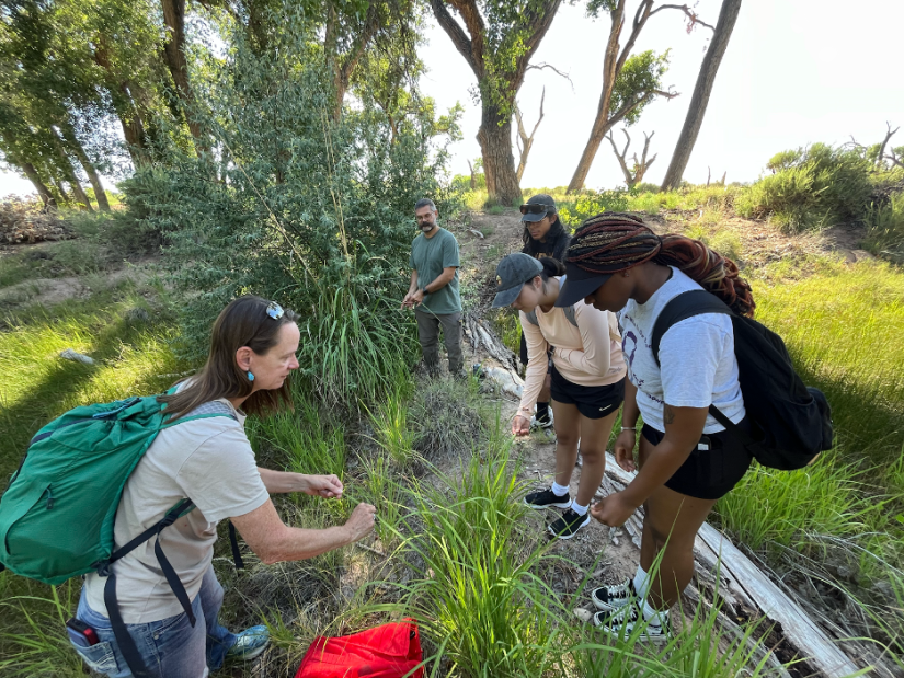 People stand in a grassy and lightly wooded area conducting research.