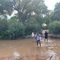 People wade across the Rio Grande river holding nets