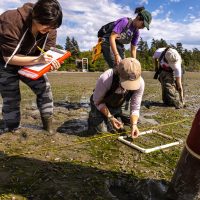 Four students standing in mudflat with a quadrat sampler
