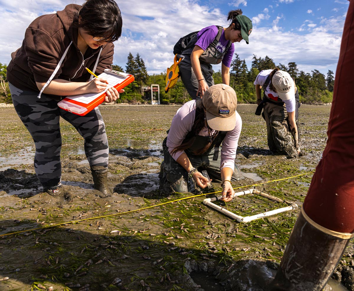 Four students standing in mudflat with a quadrat sampler